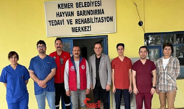 Kemer Belediyesi Lider yardımcısı Semih Top, 4 Nisan Sokak Hayvanlarını