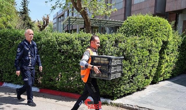 Antalya Büyükşehir Belediyesi Zabıta grupları, Antalya Şehirlerarası Otobüs Terminali’nde gerçekleştirdiği