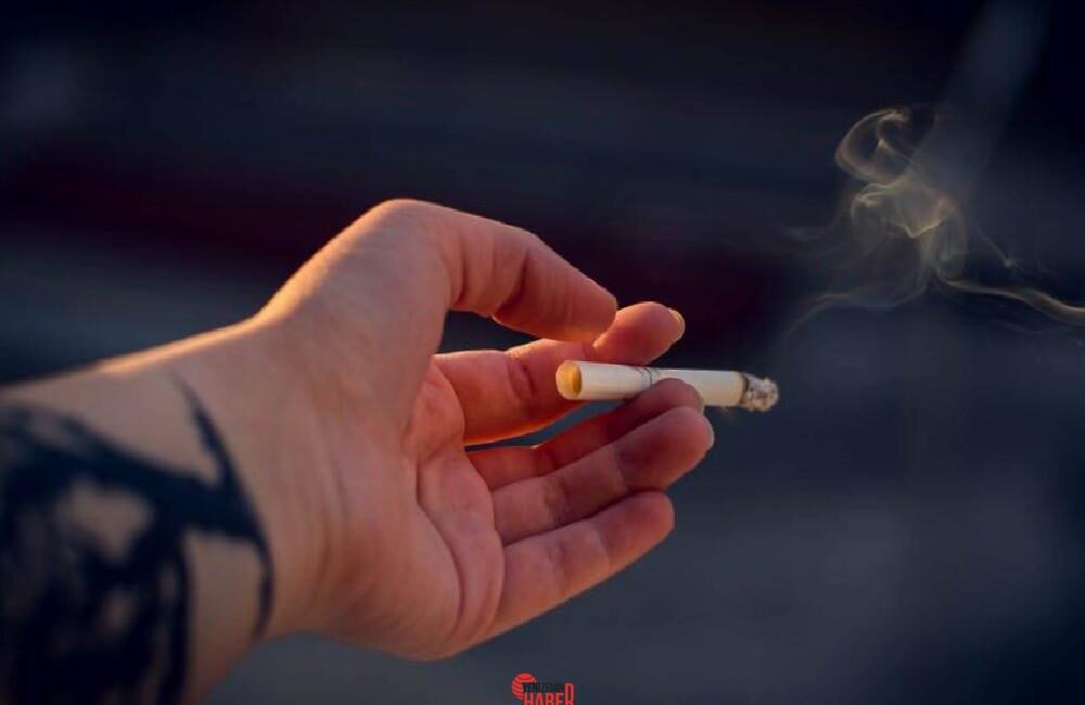 Sigara dumanı ve kirli hava sıhhatimizi olumsuz etkiliyor. Uzmanlar, sigara