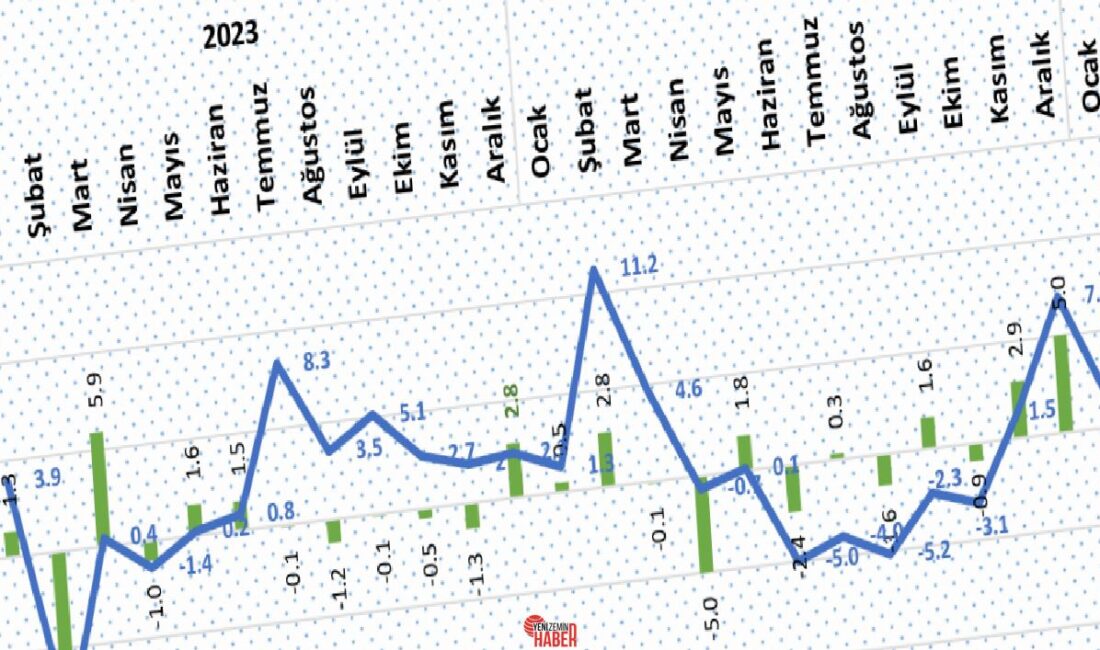 Türkiye İstatistik Kurumu(TÜİK)’nun, bugün açıkladığı data setine nazaran; 2025 Şubat