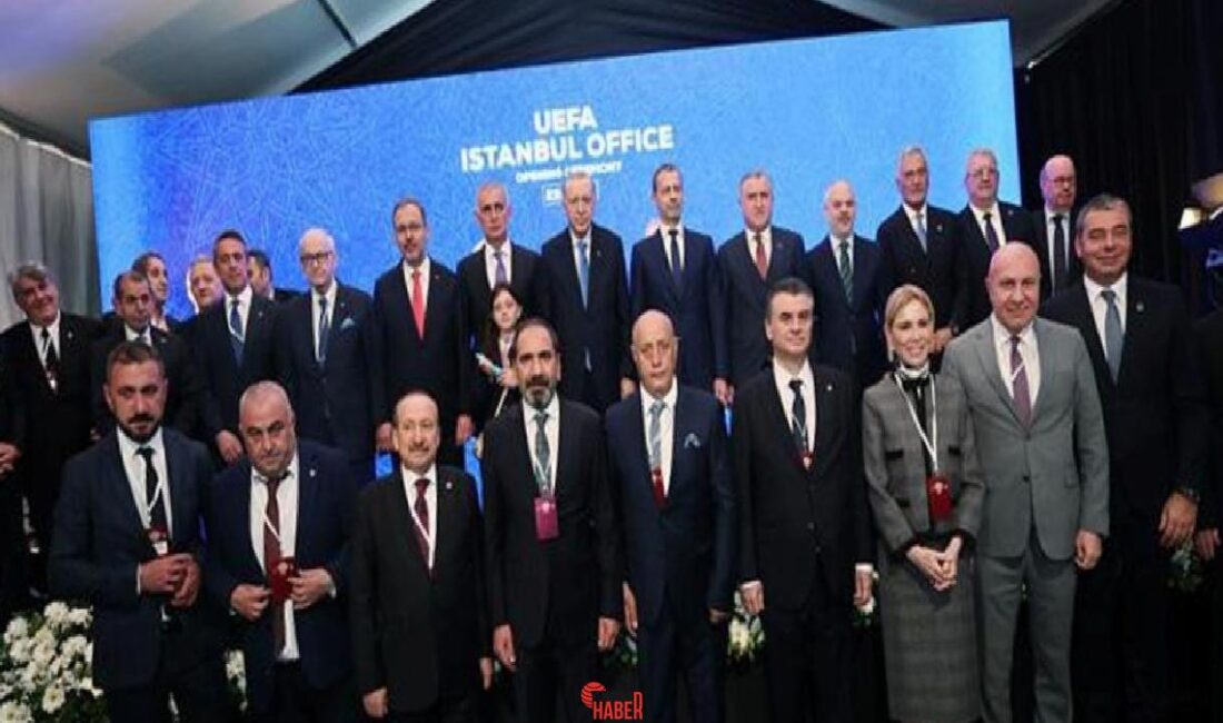 TFF 1. Başkan Vekili, İcra Kurulu Üyesi, A Ulusal Ekip