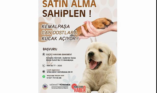 Kemalpaşa Belediye Başkanı Mehmet Türkmen, sokak hayvanlarının sıcak bir yuvaya