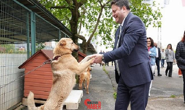 Sahipsiz hayvanlara barınma, bakım ve tedavi hizmeti sunan Kadıköy Belediyesi