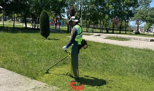 Kartepe Belediyesi Park ve Bahçeler Müdürlüğü grupları, ilçenin yeşil alanlarında