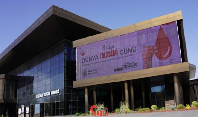 Mevlana Talasemi Hastaları ve Aileleri Yardımlaşma Derneği Başkanı Mustafa Dolu