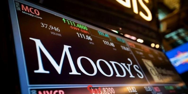 Moody’s, ferdi yatırımcıların özel kredi varlıklarına artan ilgisinin, ABD sistemi