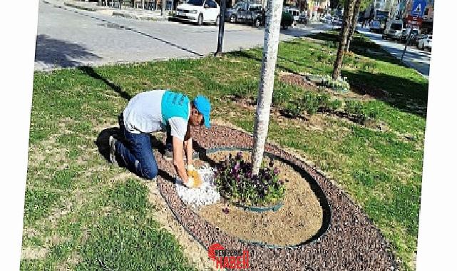 Manisa Büyükşehir Belediyesi, kenti daha estetik ve yeşil hale getirmek