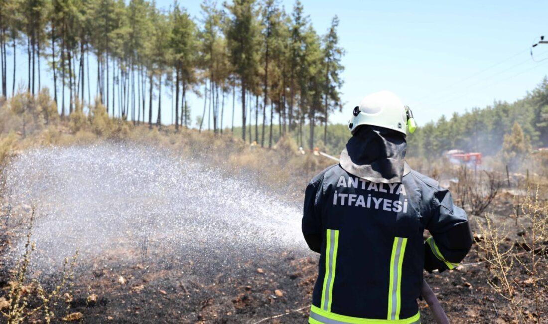 Antalya Büyükşehir Belediyesi itfaiye ekipleri, Alanya Aksu ve Serik’te çıkan