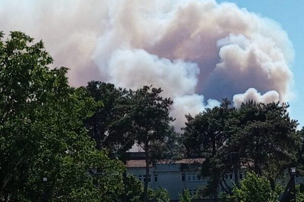 Orman Genel Müdürlüğü'nden (OGM) yapılan açıklamada, Bilecik'in Gölpazarı ilçesinde meydana