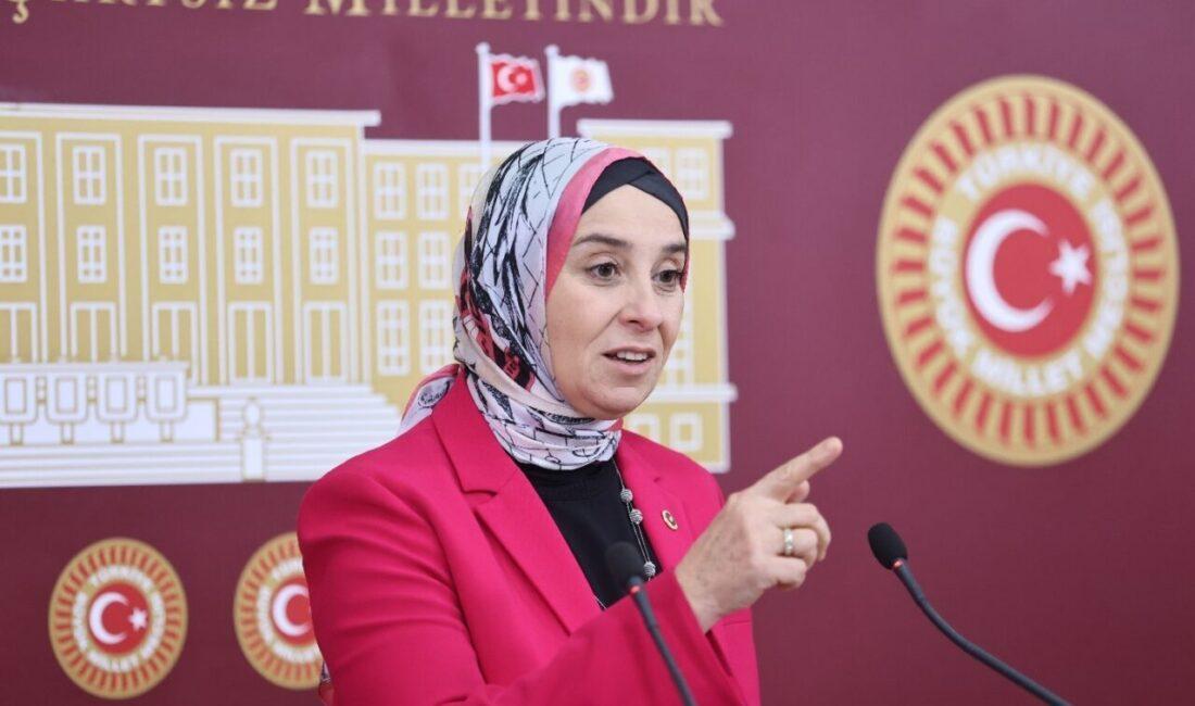DEVA Partisi İstanbul Milletvekili Elif Esen, Türkiye Büyük Millet Meclisinde,