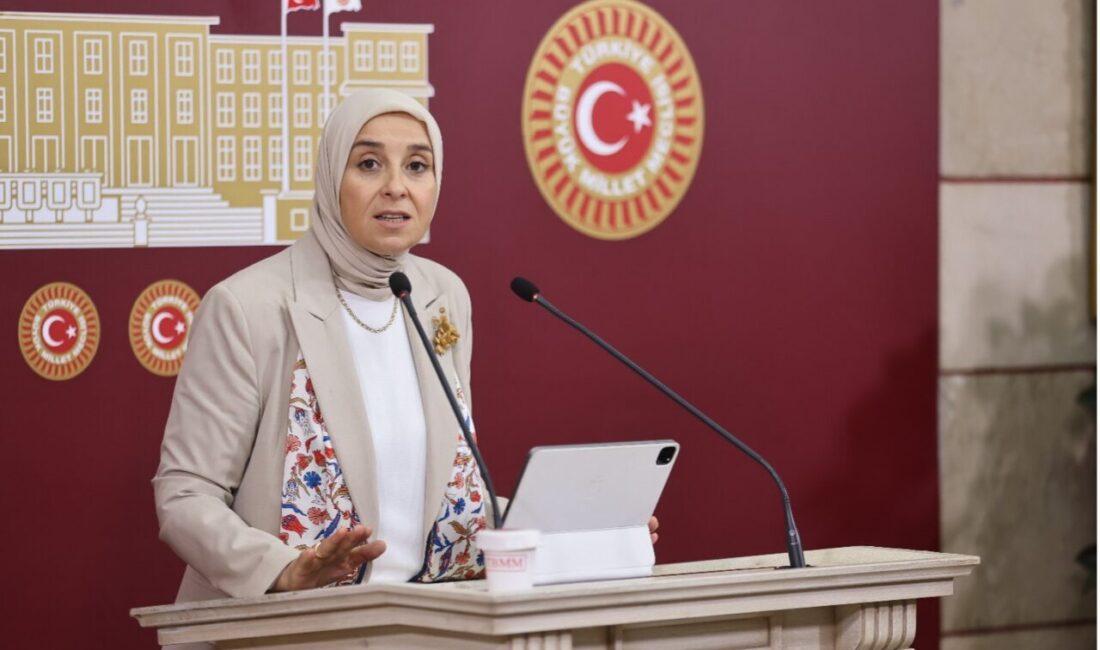DEVA Partisi Genel Başkan Yardımcısı ve İstanbul Milletvekili Elif Esen,