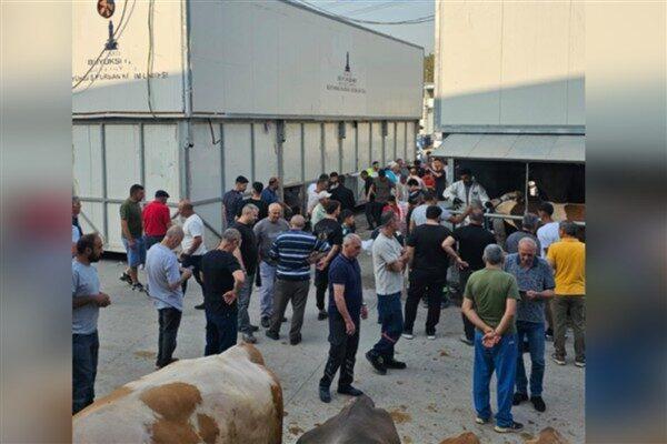  İzmir Büyükşehir Belediyesi, Kurban Bayramı’nda İzmirlilerin sağlıklı, hijyenik ve güvenli