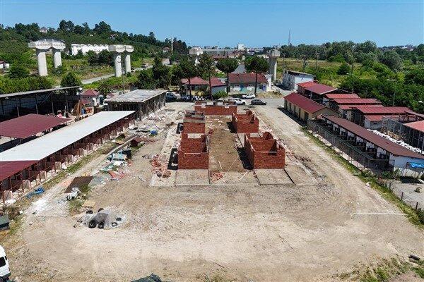 Mevcut bin metrekare doğal yaşam alanında devam eden ve yüzde