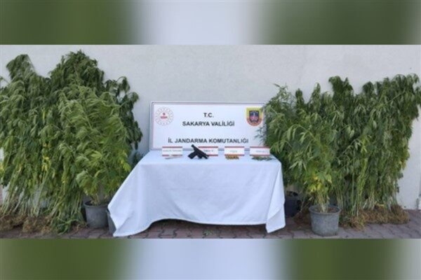 Sakarya İl Jandarma Komutanlığı ekipleri, Geyve İlçesinde uyuşturucu ile mücadele