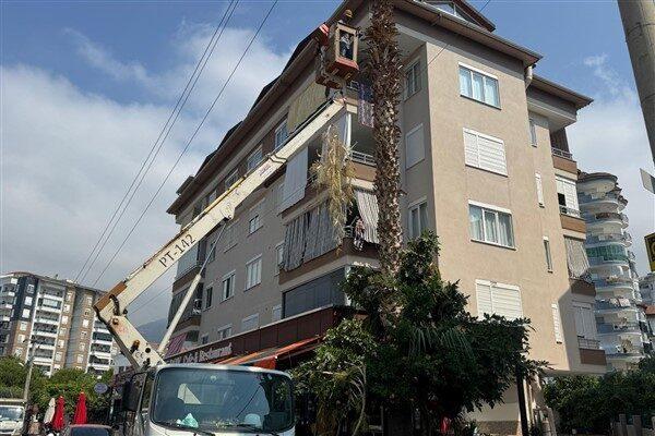 Alanya Belediyesi Park ve Bahçeler Müdürlüğü ile Akdeniz Elektrik Dağıtım