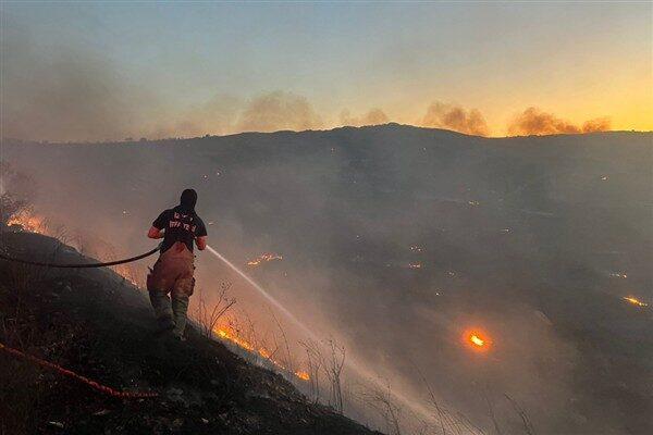 İzmir Büyükşehir Belediyesi İtfaiye Dairesi Başkanlığı, Aliağa Hacıömerli Mahallesi'nde makilik