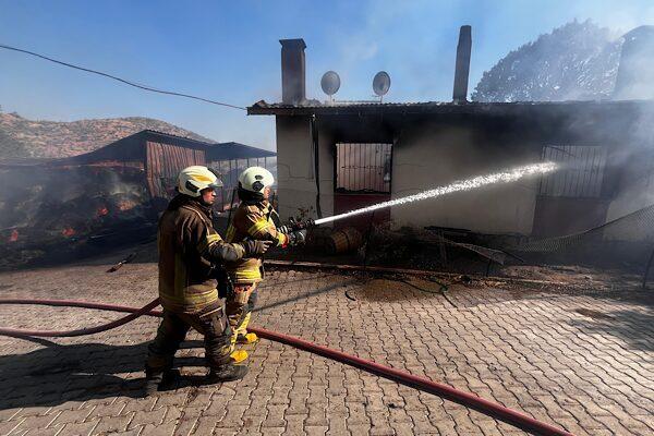 İzmir’in Bayındır ilçesine bağlı Yeşilova Mahallesi’nde bugün saat 15.30 sıralarında