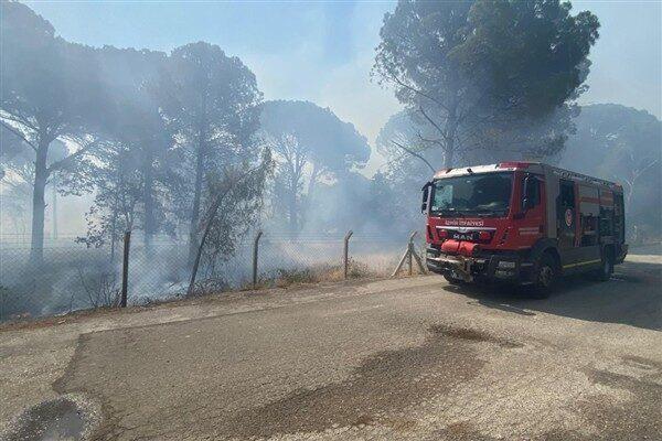 İzmir’in Bergama ilçesine bağlı Yukarıbey ile Hacıhamzalar mahalleleri yakınlarında sabah
