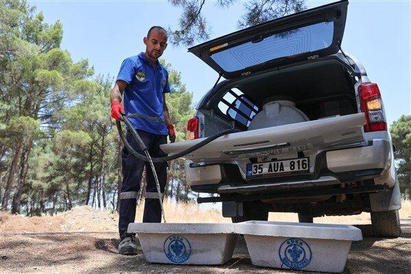Belediye, Kaynaklar Mahallesi’ndeki Olduruk ve Söğüt mevkilerindeki ormanlık alanlar ve
