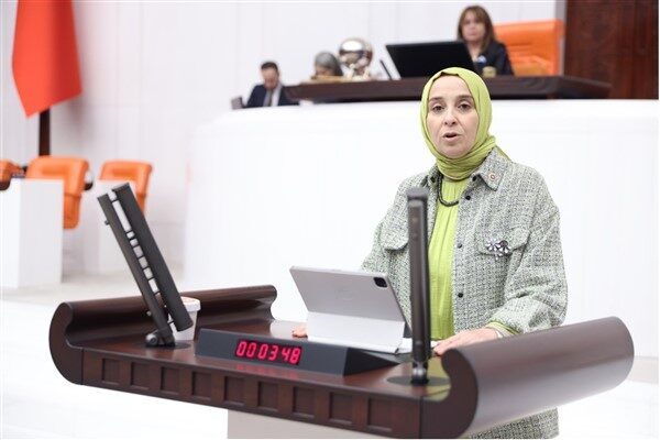 Esen, başta Bursa ve Karabük'te yanan ormanlara dikkat çekerek, yaşanan