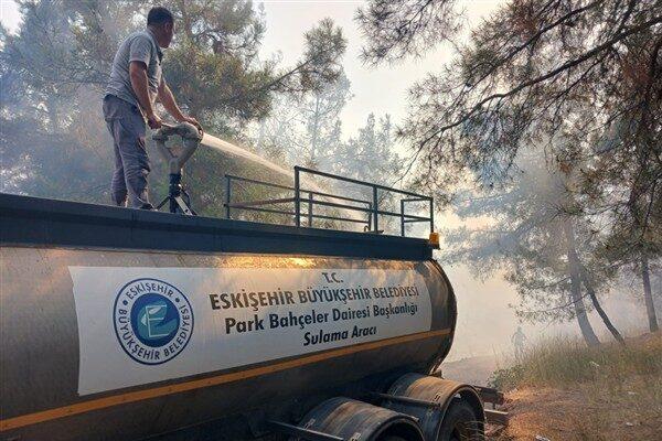 Bursa Gürsu ile Kestel ilçesi Ağlaşan Mahallesi arasında bulunan bölgede,