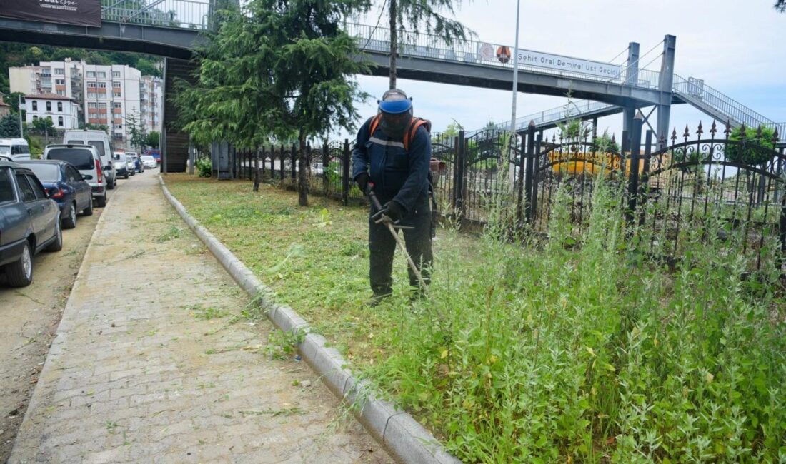 Belediye ekiplerinin son günlerdeki yoğun çalışmaları, özellikle şehrin vitrini konumundaki