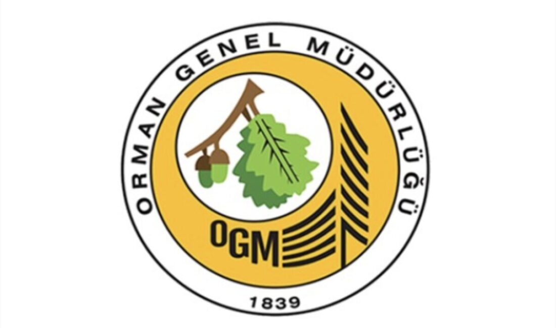Orman Genel Müdürlüğü İstanbul Sultangazi ve Bolu Göynük’te başlayan yangınlara