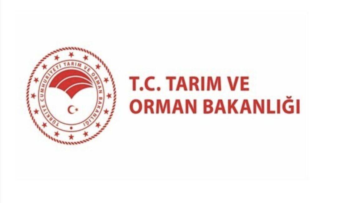 Tarım ve Orman Bakanlığı, Karabük’te devam eden orman yangınlarına karşı