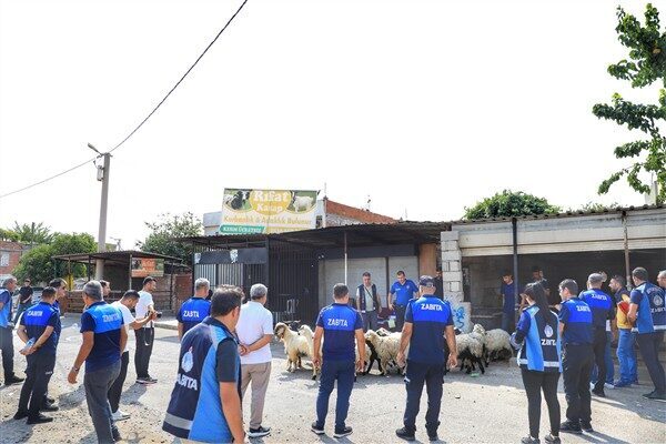 Kayapınar Belediyesi Zabıta Müdürlüğü, Tarım ve Orman Bakanlığı'nın "şap hastalığı"