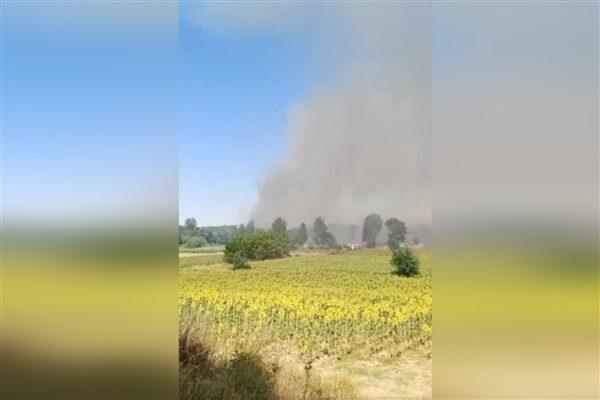 Edirne'nin Keşan ilçesine bağlı Mahmutköy'de meydana gelen orman yangınına itfaiye