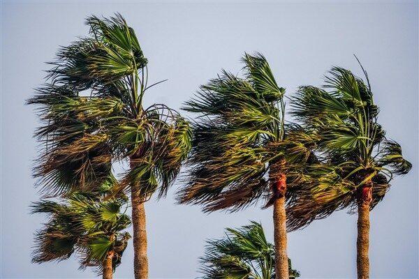 Meteoroloji Genel Müdürlüğünün (MGM) yaptığı açıklamaya göre hava sıcaklığının Türkiye genelinde