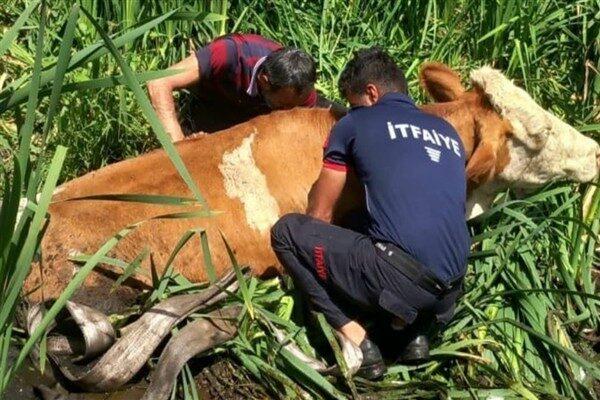 Vatandaşların ihbarı üzerine bölgeye sevk edilen Muş Belediyesi İtfaiye Müdürlüğü