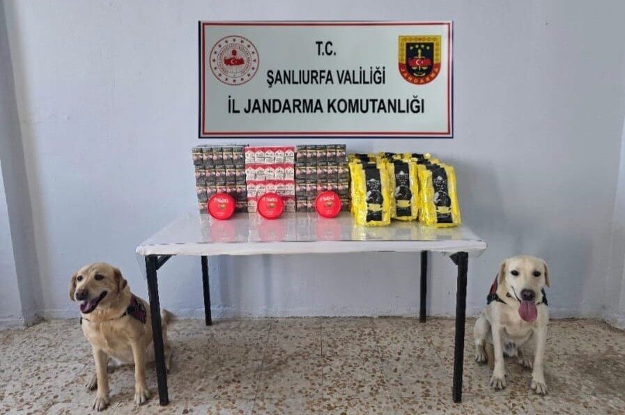 Viranşehir İlçe Jandarma Komutanlığı, Haliliye İlçe Jandarma Komutanlığı, Kaçakçılık ve
