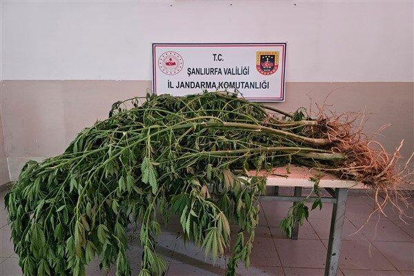 Siverek, Viranşehir ve Haliliye İlçe Jandarma Komutanlıkları ile İstihbarat ve