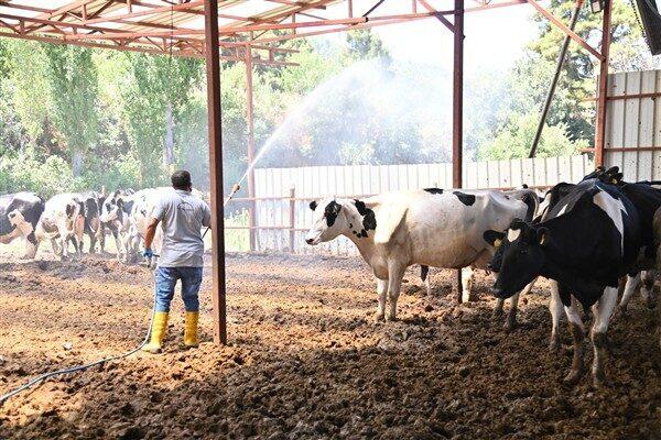 Vatandaşlardan gelen talepler doğrultusunda, Sarıgöl Belediye Başkanı Tahsin Akdeniz’in konuyu
