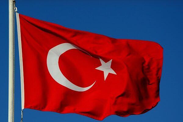 Tarım ve Orman Bakanı İbrahim Yumaklı, Eskişehir Seyitgazi’deki orman yangınına