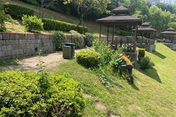 Park ve Bahçeler Dairesi Başkanlığı’na bağlı ekipler, bitki dikme, bitki