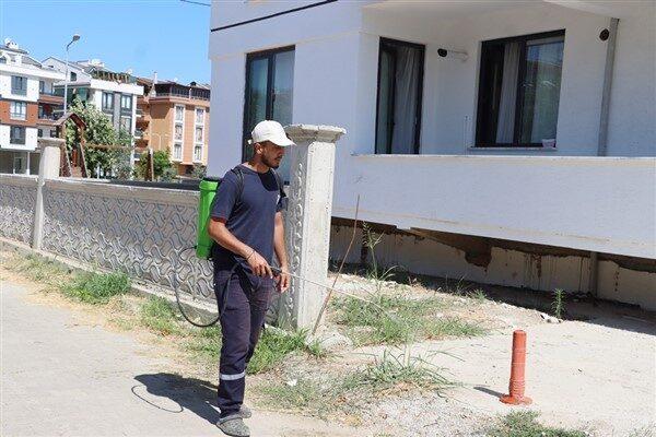 Bu kapsamda, cadde ve sokaklarda yol kenarlarında çıkan yabani otlara
