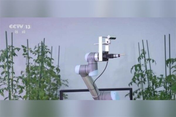 Çin’in geliştirdiği “Geair” isimli polinasyon robotu kısa süre önce kamuoyuna tanıtıldı.