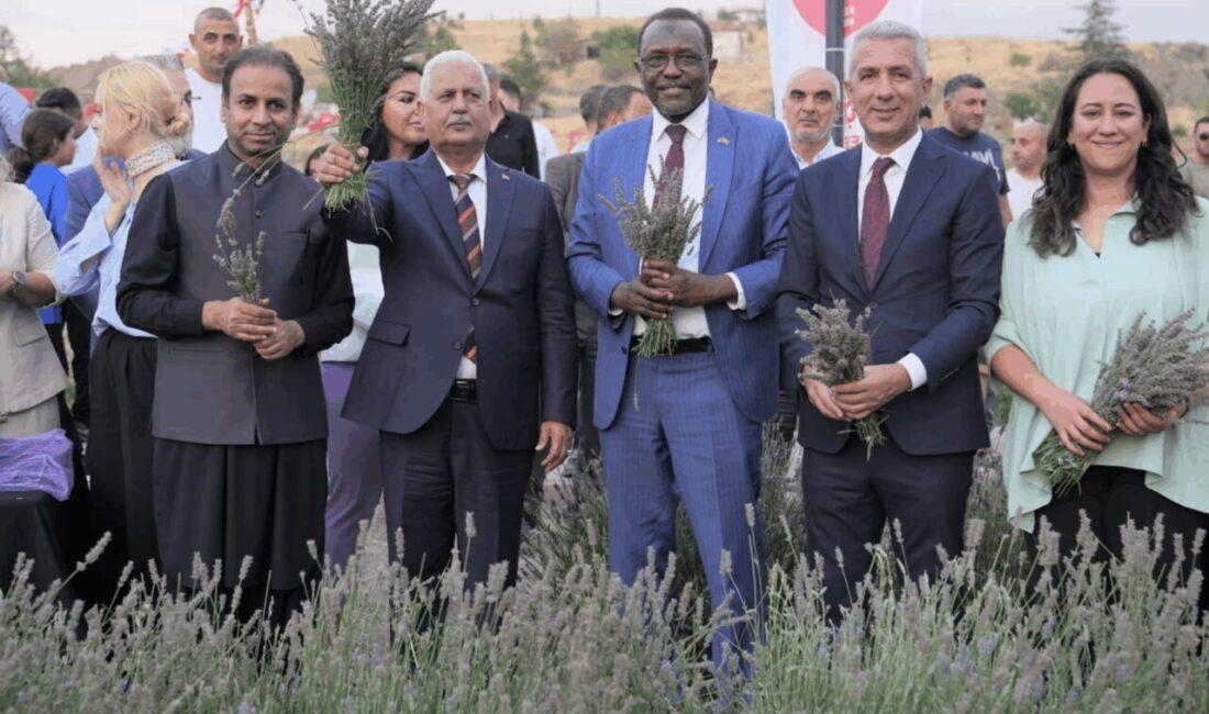 Keçiören Belediyesi, Ovacık Mahallesi’nde bulunan Lavanta ve Gül Bahçesi’nde 2.