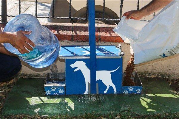 Veteriner İşleri Müdürlüğü ekipleri tarafından düzenli periyotlarla ilçede belirlenen beslenme