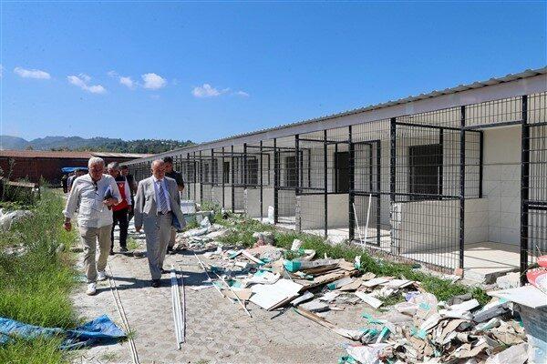 Ordu Büyükşehir Belediyesi, Fatsa ve Ünye İlçe Belediyeleri tarafından sahipsiz