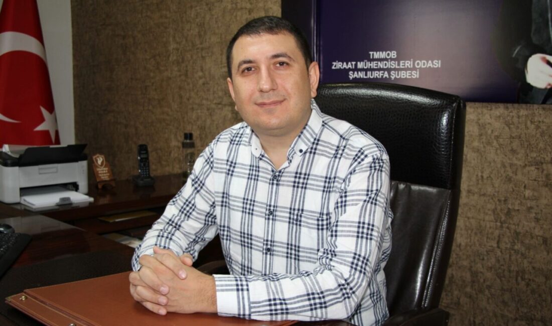 Kayıpsız, kesintisiz ve kaliteli enerji hizmeti sunma hedefiyle Güneydoğu Anadolu