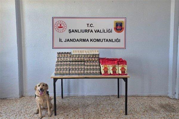 Şanlıurfa İl Jandarma Komutanlığı tarafından, 12-14 Ağustos tarihlerinde Birecik ve Viranşehir İlçelerinde 'tütün
