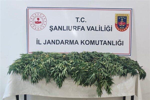 Şanlıurfa İl Jandarma Komutanlığı ekipleri tarafından Siverek ve Halfeti ilçelerinde