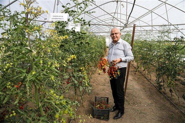 Ata tohumlarının kullanımının yaygınlaştırılması ve üretilen tohumların çiftçilere dağıtılması için