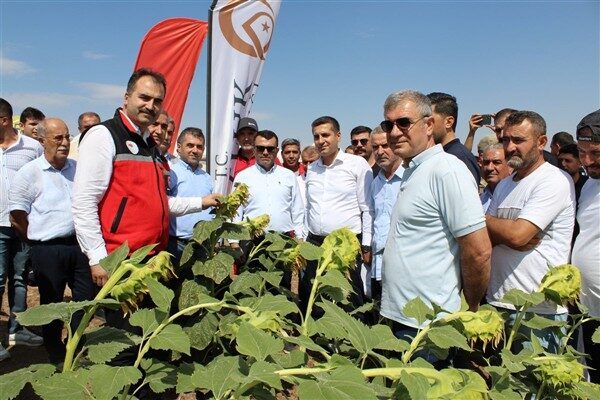 Batman Valisi Ekrem Canalp’in himayelerinde yürütülen “İkinci Ürün Yağlık Ayçiçeği