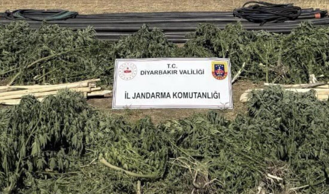 Diyarbakır İl Jandarma Komutanlığı tarafından , 8–14 Eylül tarihleri arasında