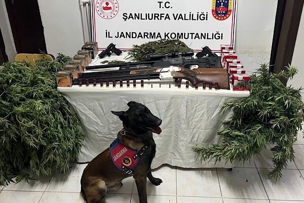Şanlıurfa İl Jandarma Komutanlığı tarafından 13 Eylül 2025 tarihinde Harran