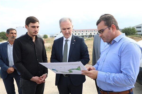 Akhisar Mahallesi Akkanal Sokak üzerinde ise 825 adet ağacın yer